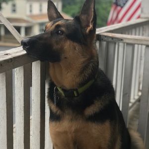 Meet your Posher, Kelsey